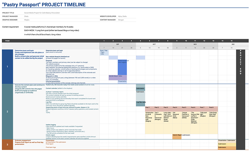 project timeline